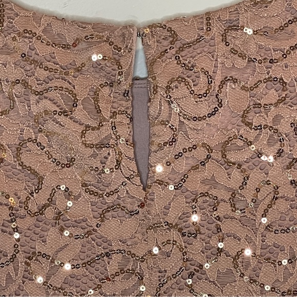 MARINA Sequin Lace A-Line Dress in Blush Size M - Picture 5 of 10